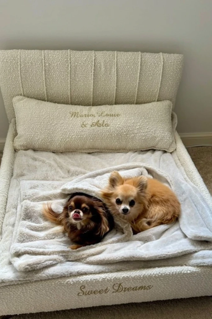 Bed Frame