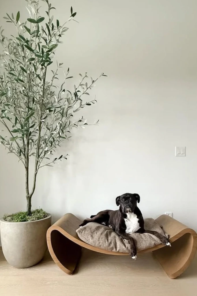 Curved Lounge