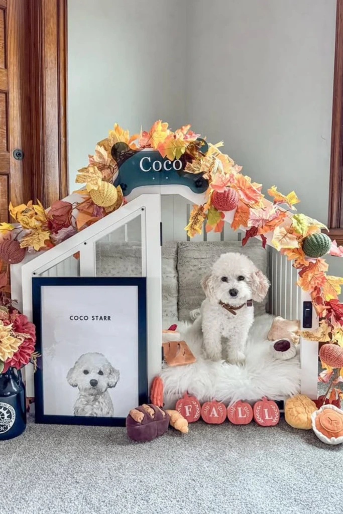 Seasonal Styling