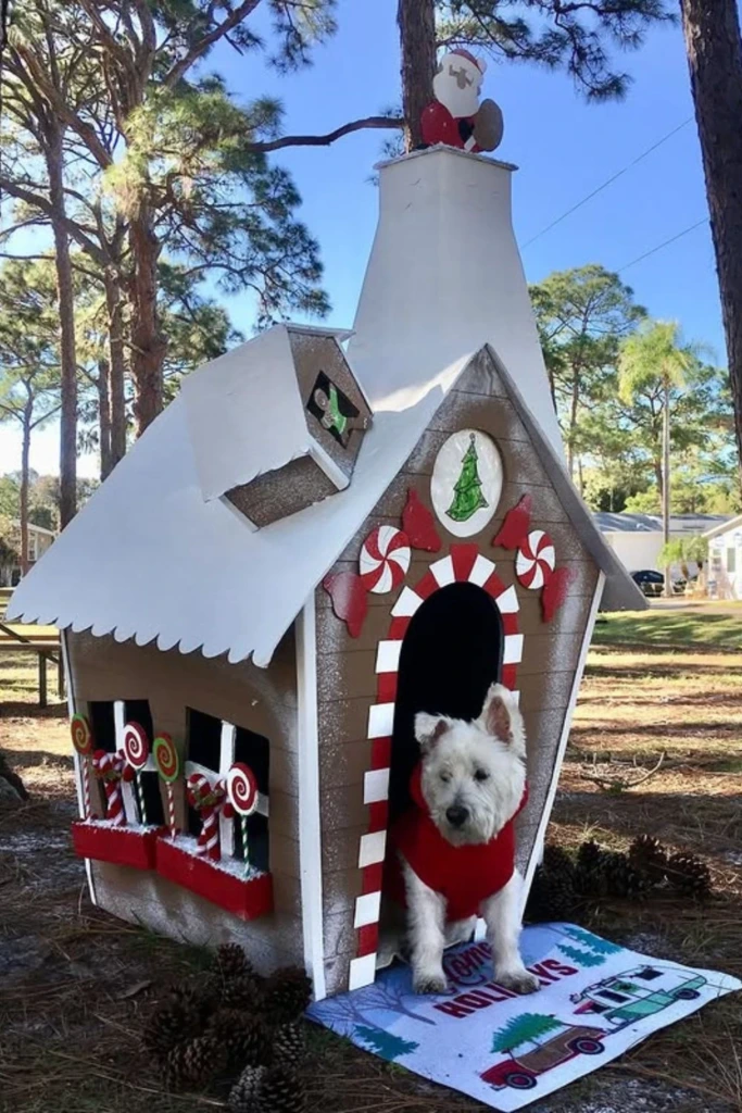 Holiday Theme
