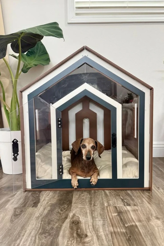 Modern Shelter
