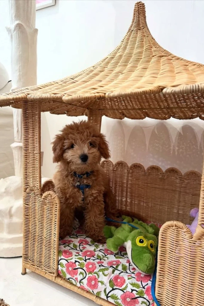 Wicker Retreat