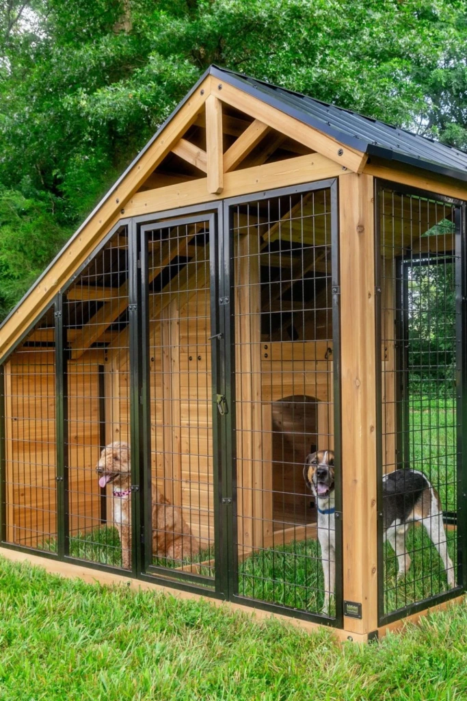 Outdoor Kennel