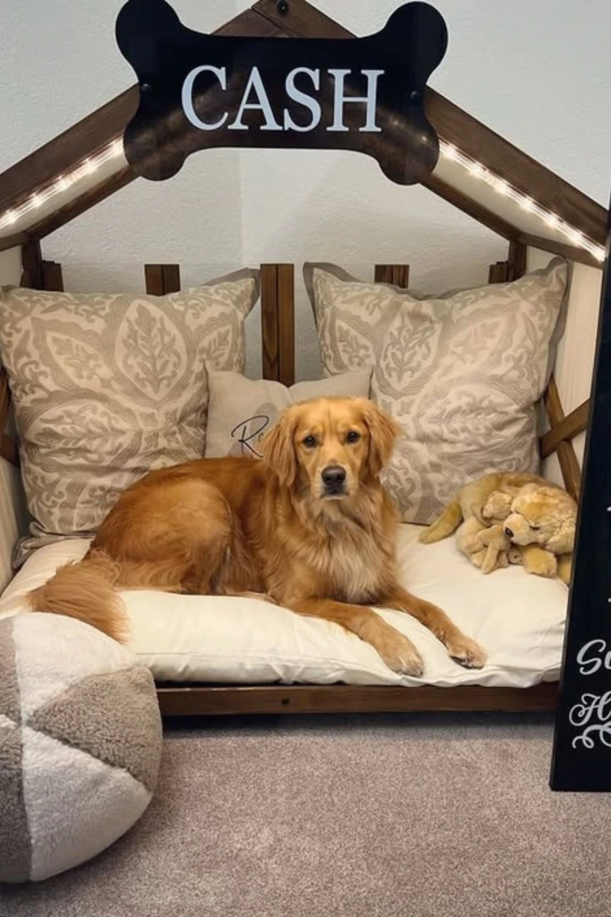 Bed Frame