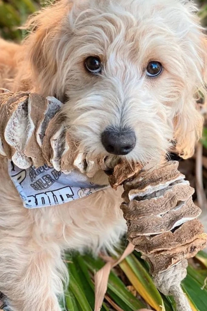 Wrapped Stick