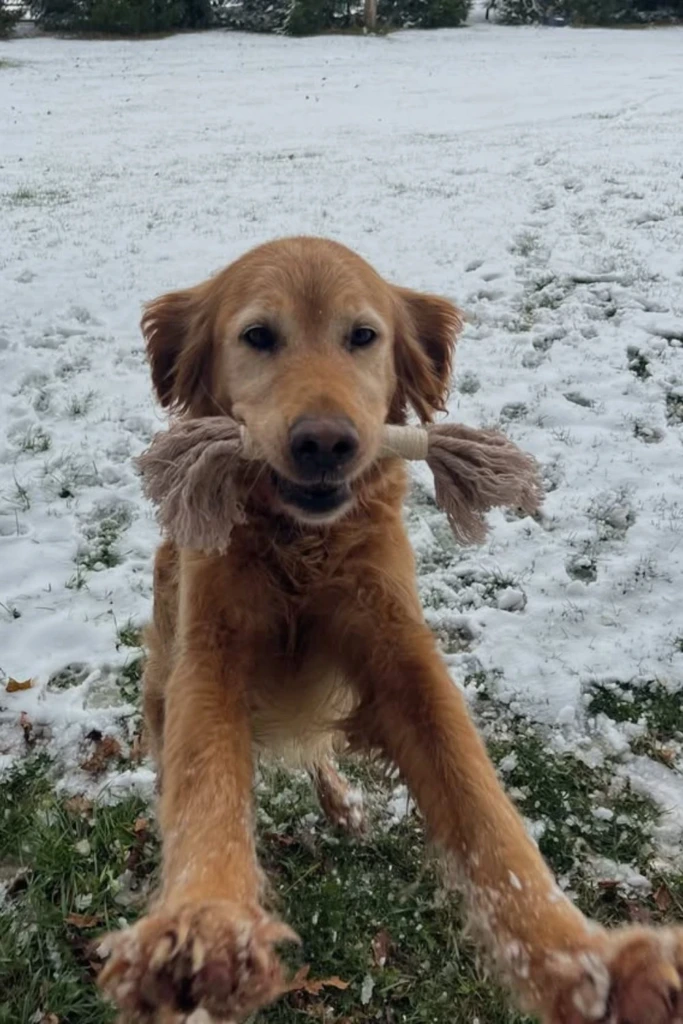 Fleece Tug
