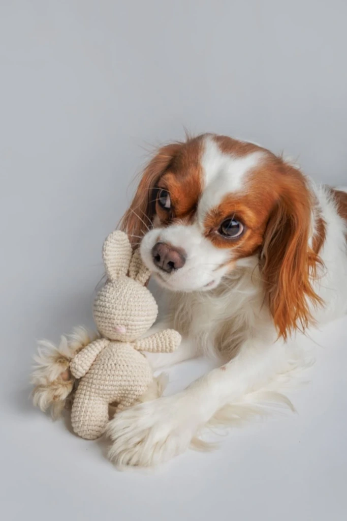 Crochet Plush