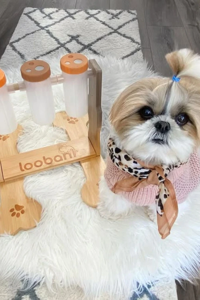 Treat Tower