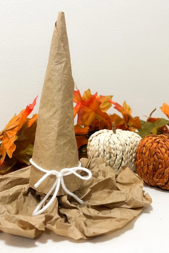 Craft a Paper Witch Hat