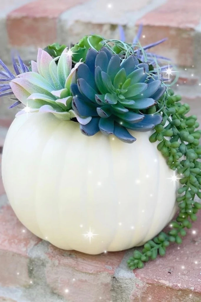 Turn a Pumpkin into a Succulent Planter