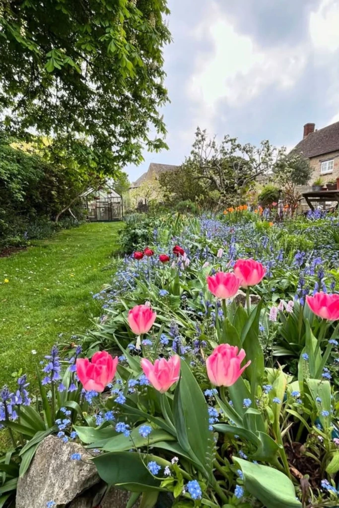 Spring Tulip Garden