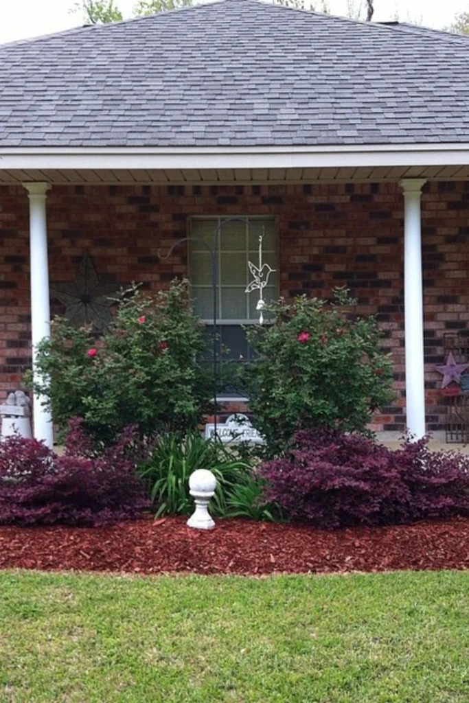 Symmetrical Red Bed