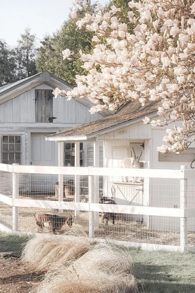 Barn Pen