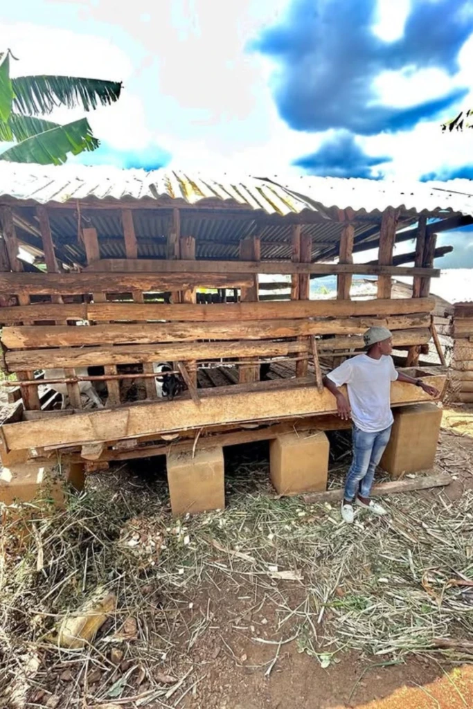 Raised Shelter