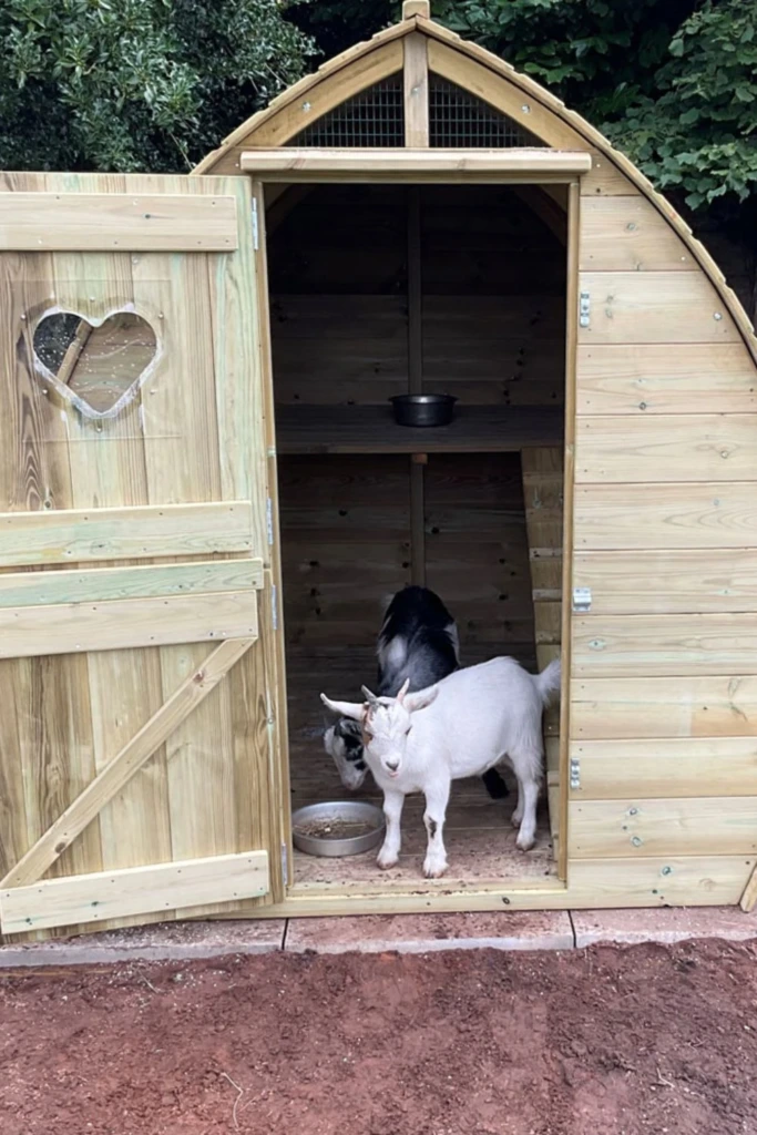 Barrel Shelter