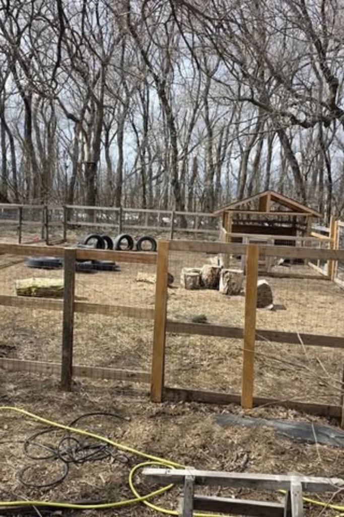 Play Pen