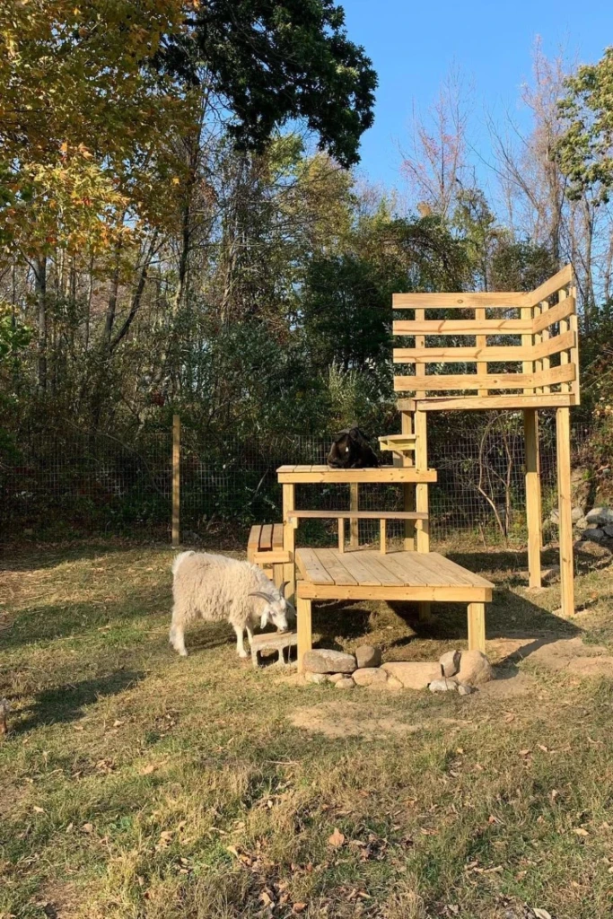 Lookout Levels