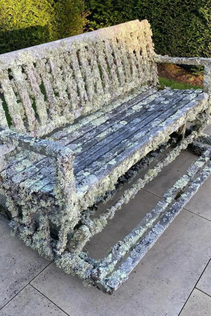 Mossy Garden Bench