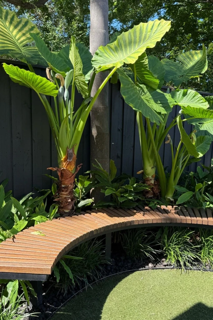 Tropical Curve Bench
