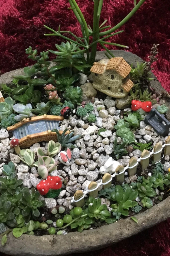 Mini Meadow