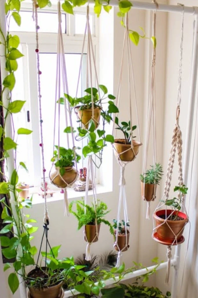 Create a Hanging Plant Corner