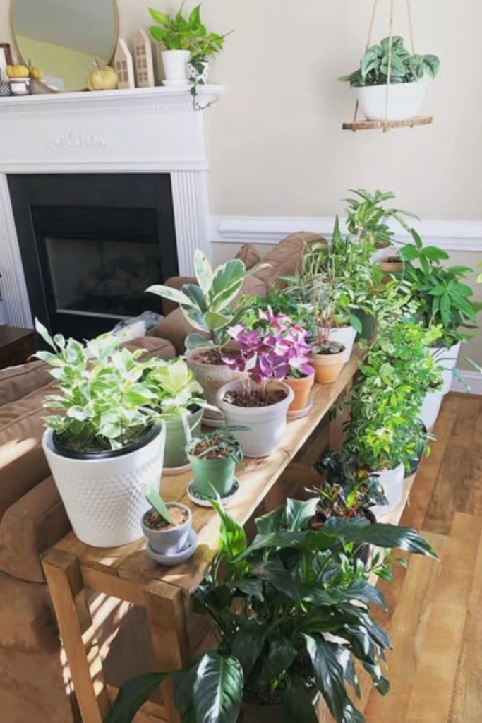 Add a Plant Stand Behind the Sofa