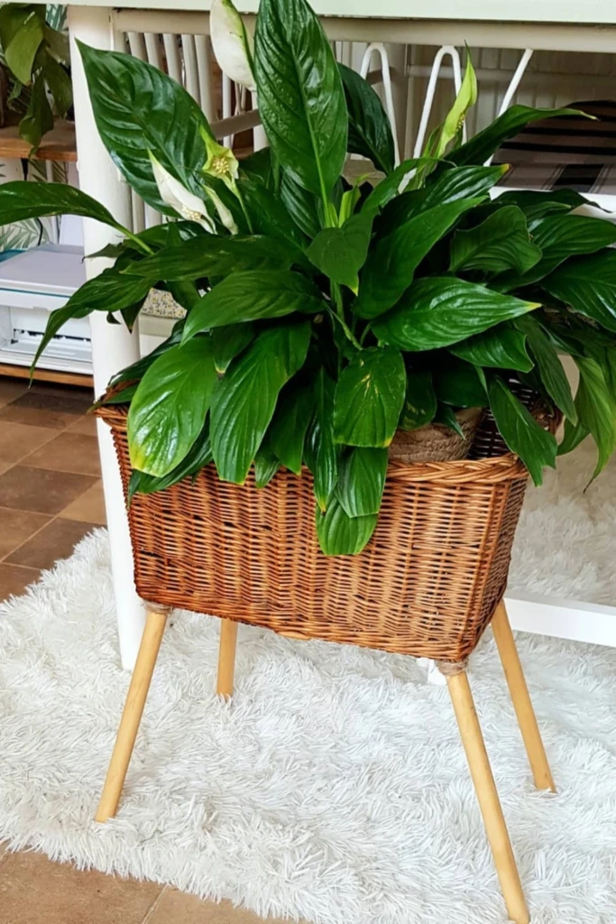 Create a Wicker Planter Stand
