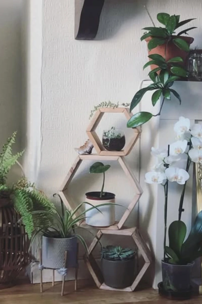 Stack Hexagon Plant Shelves