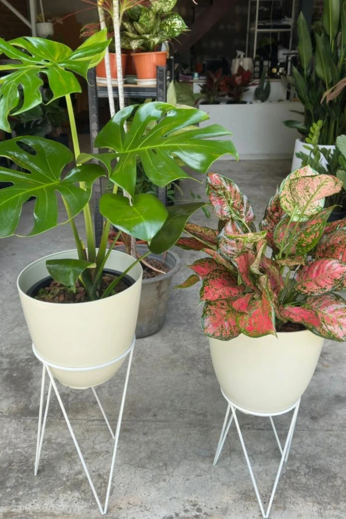 Use Lightweight Metal Plant Stands