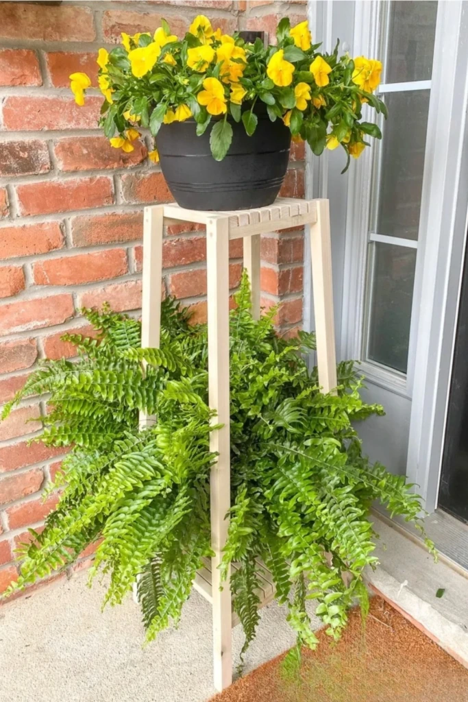 Add a Tall Porch Plant Stand