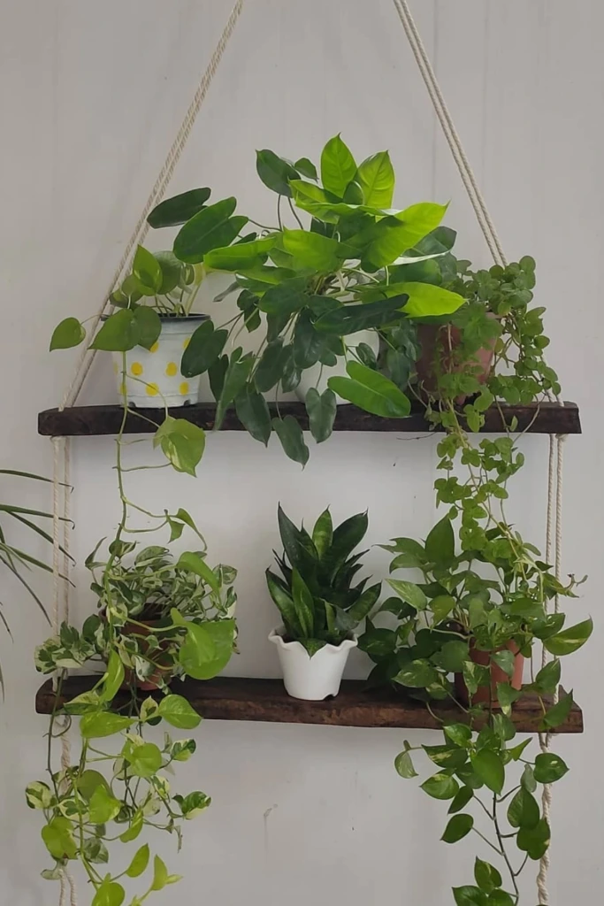 Make a Hanging Shelf Plant Display