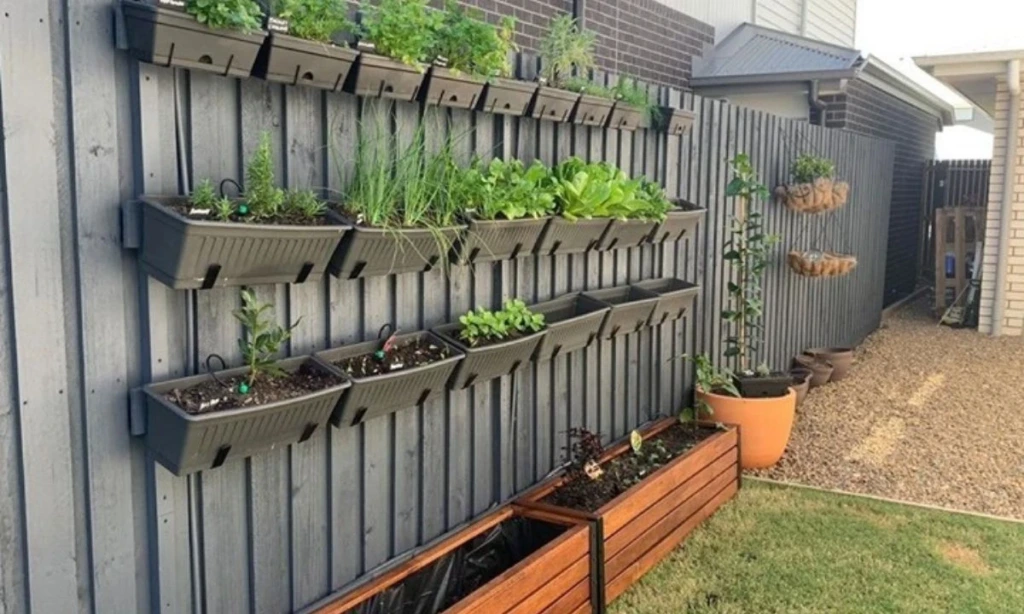 Filling and Planting Tips for Planter Boxes