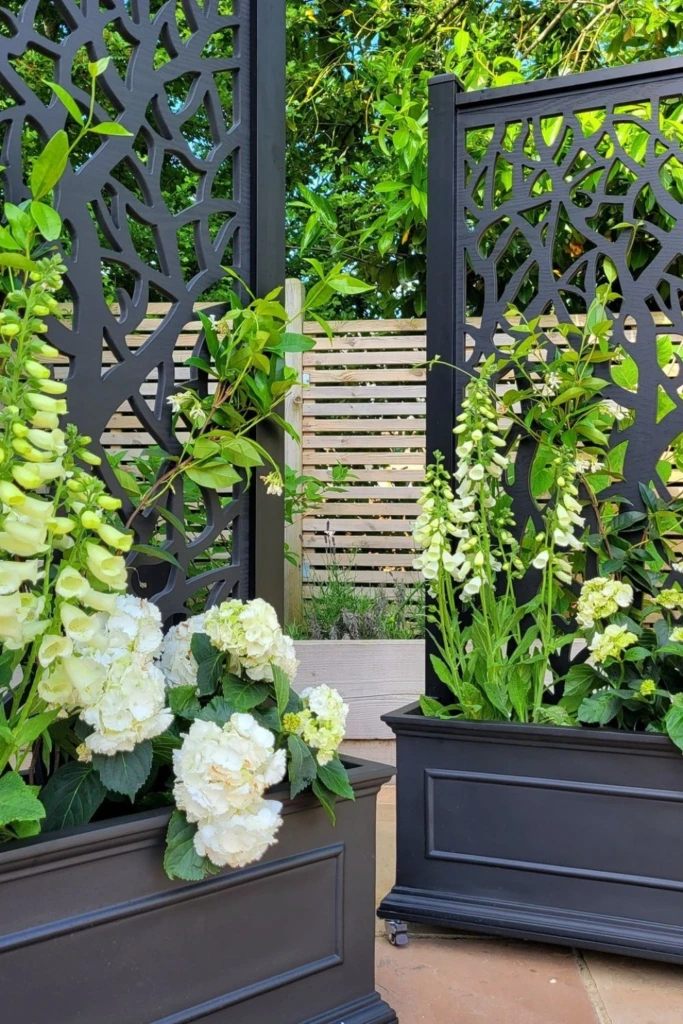 Lattice Divider Planters