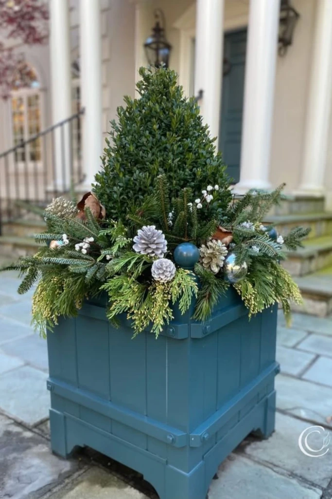 Holiday Box Planter