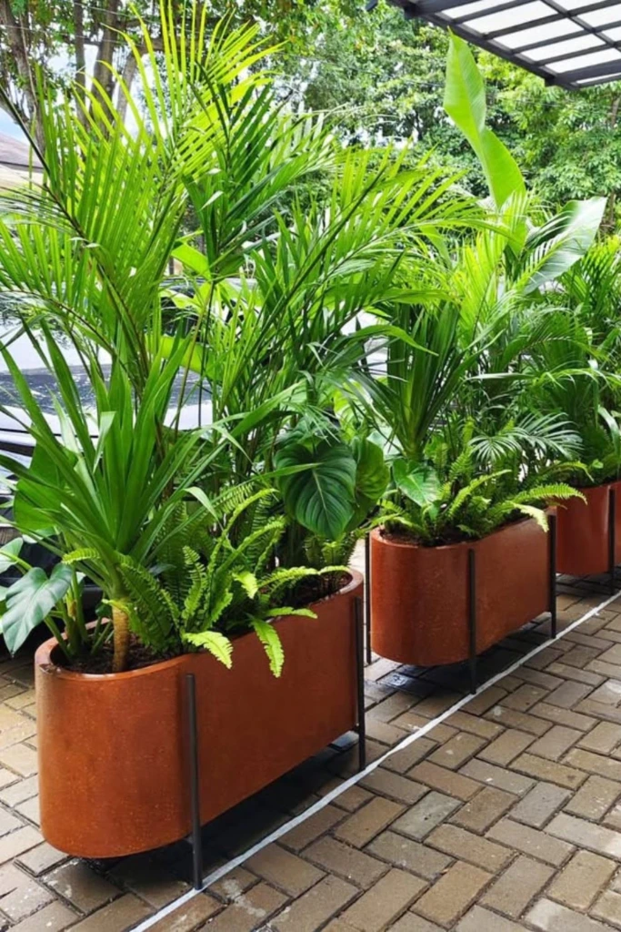 Rustic Divider Planters