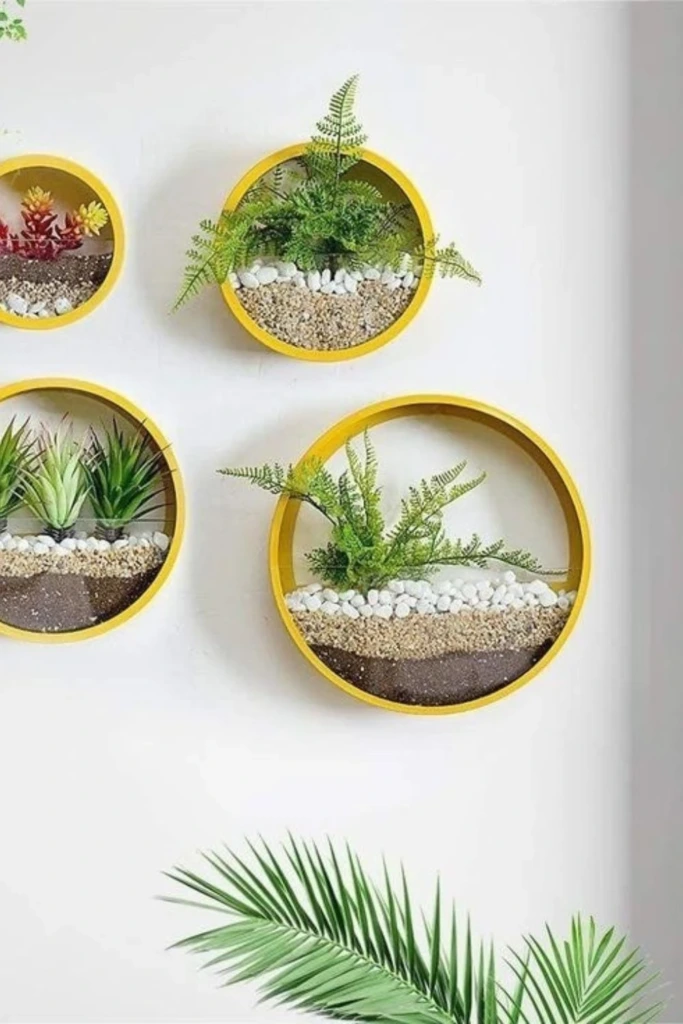 Circular Wall Frames