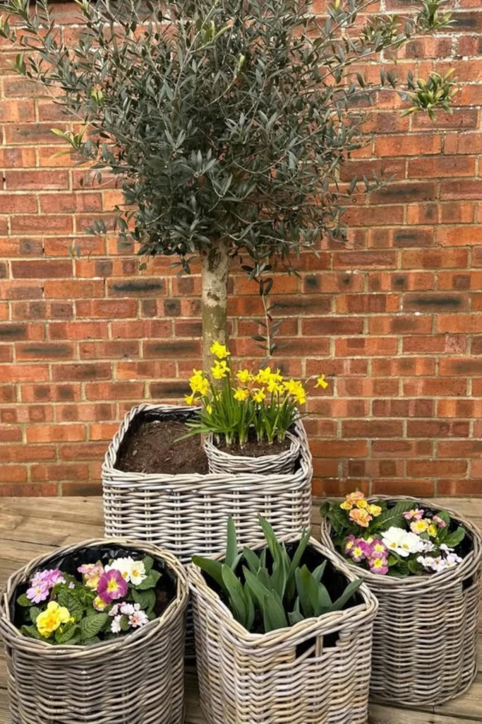 Wicker Basket Set