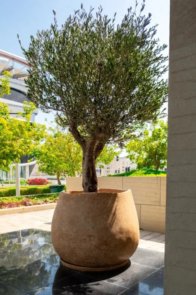 Oversized Earth Pot