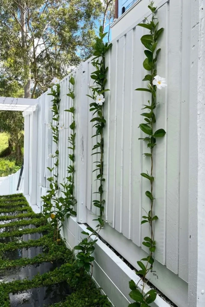 Vertical Trellis Wall