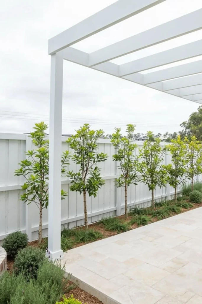 White Pergola Screen