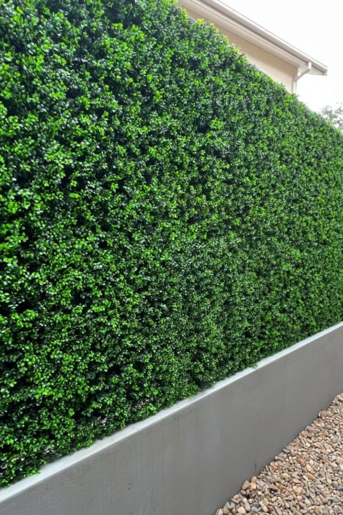 Artificial Hedge Wall