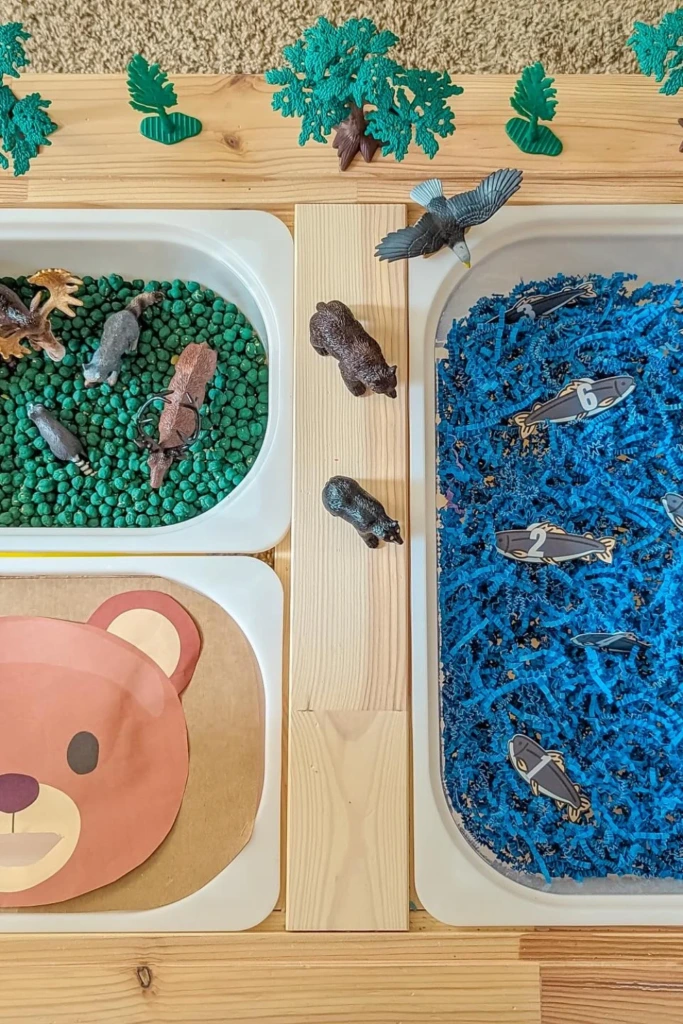 Land Water Sorting