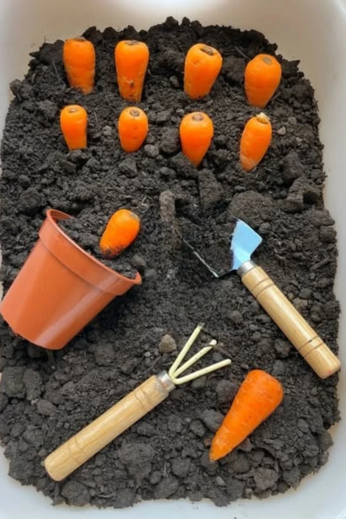 Carrot Patch Dig