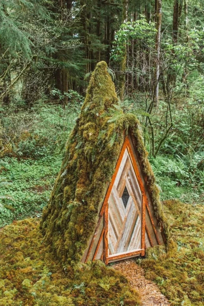 Moss Hideout