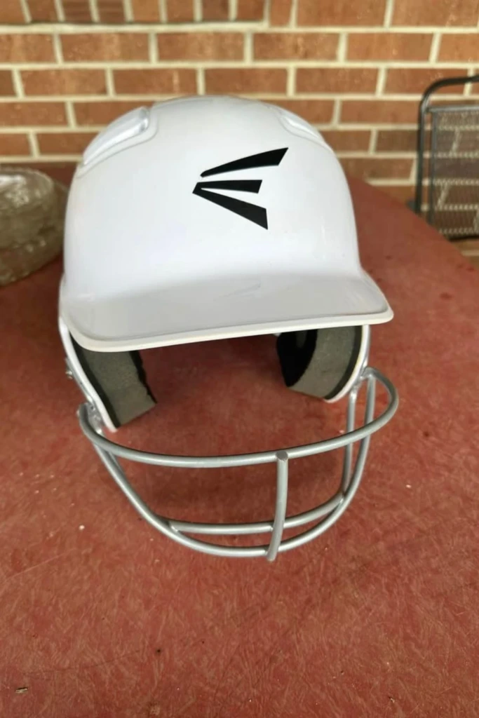Faceguard Helmet