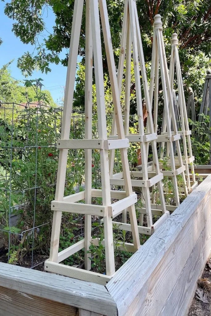 Pyramid Towers