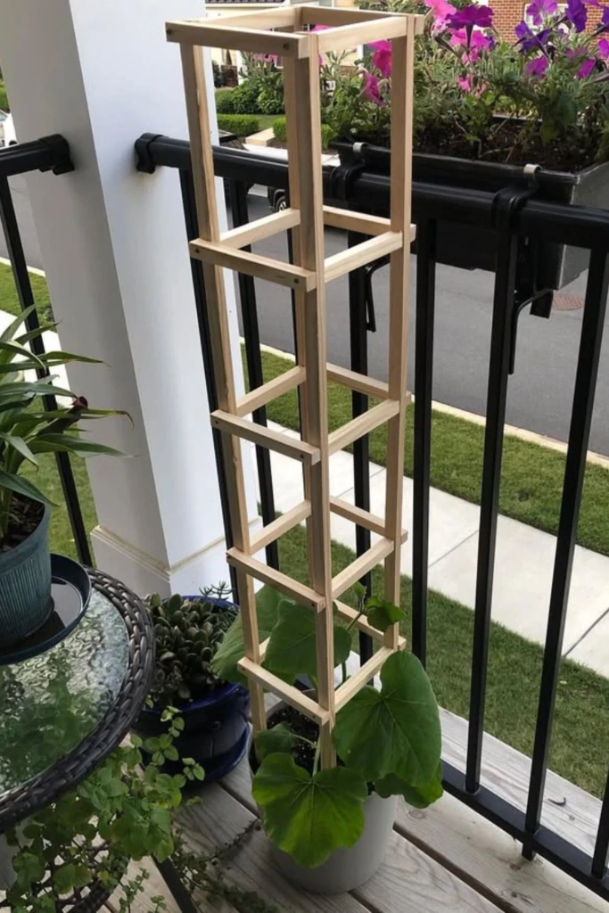 Tall Square
