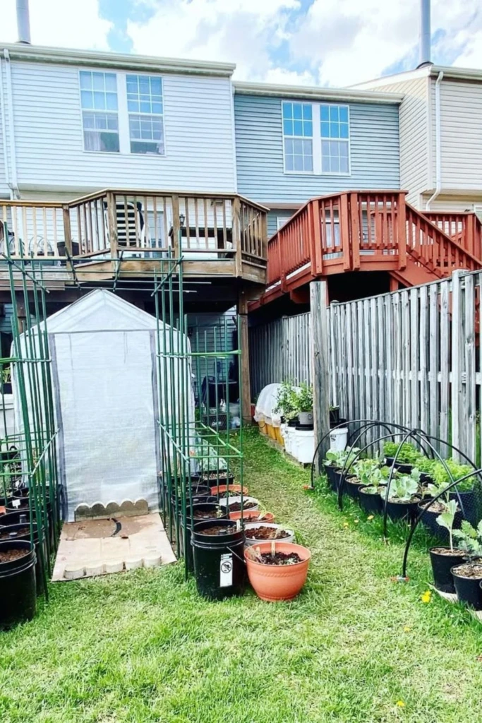 Cage Tunnel