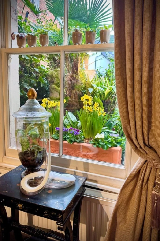 Window Peek