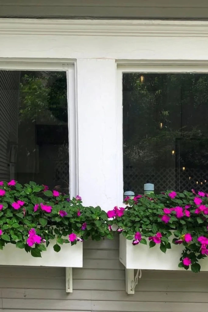 Twin Blooms